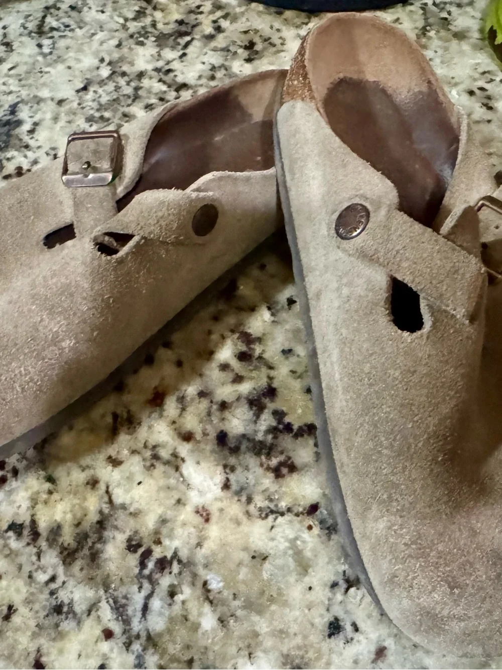 Women's Birkenstock Suede Slip-On Clog with Buckle - Taupe size 7